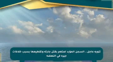 تنويه عاجل.. السجن المؤبد لمتهم بقتل جارته وتقطيعها بسبب خلافات جيرة في النهضة